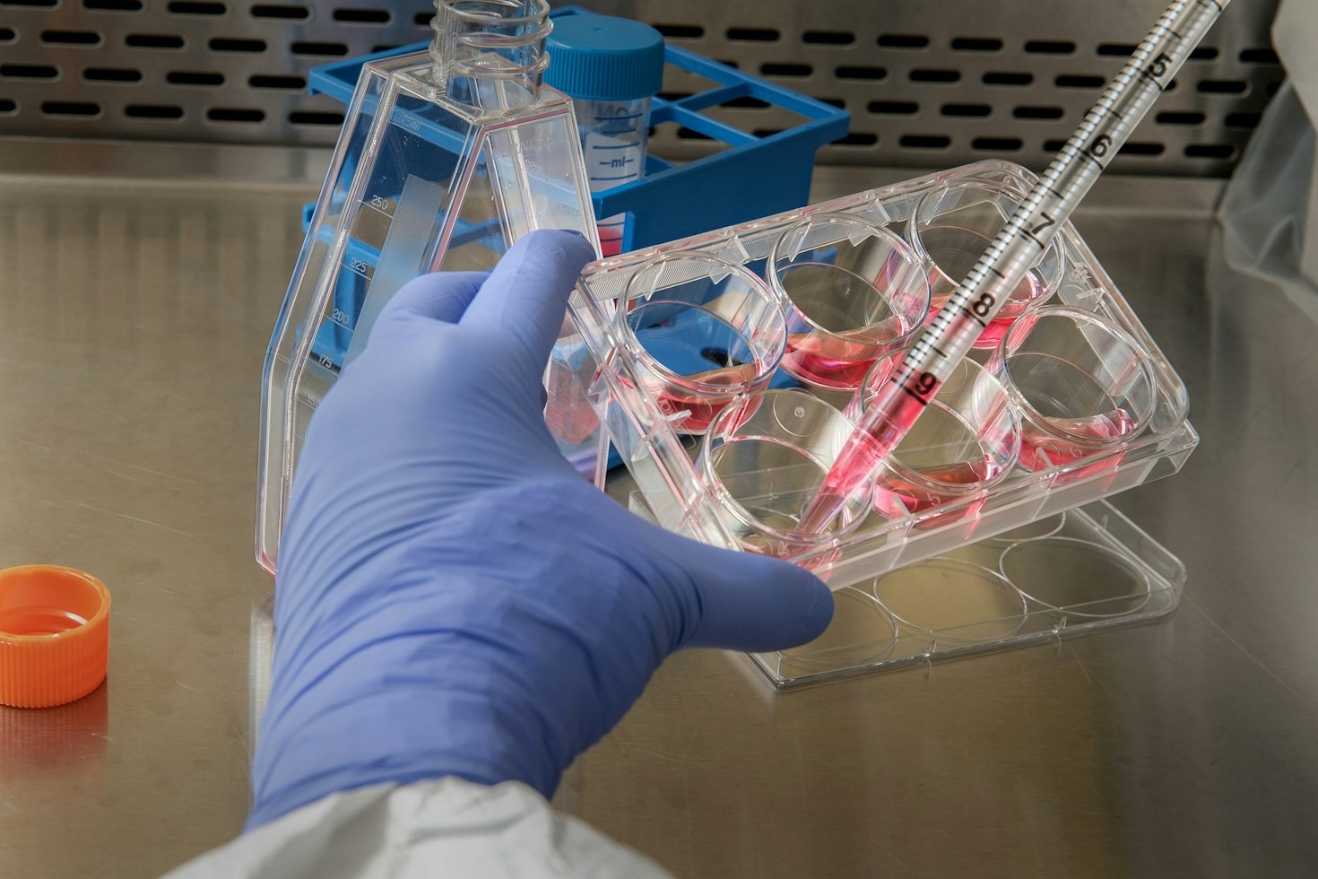 Parceria entre UFMG e BHTec fortalece a biotecnologia mineira